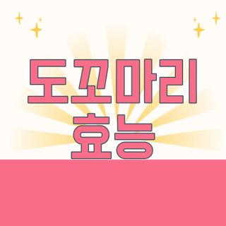 도꼬마리 효능