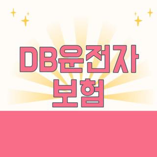 DB운전자 보험