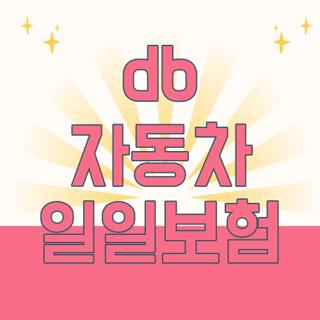 db 자동차 일일보험