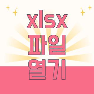 xlsx 파일 열기