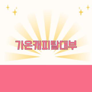 가온캐피탈대부