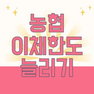 농협 이체한도 늘리기