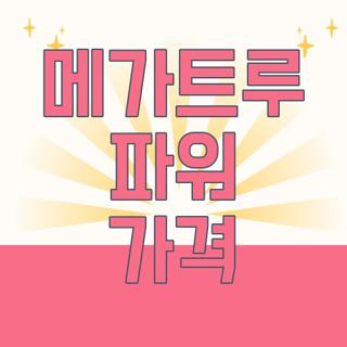 메가트루 파워 가격