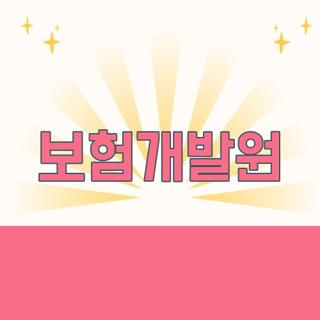 보험개발원