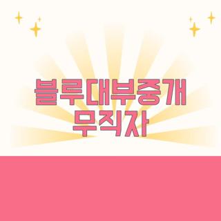 블루대부중개 무직자