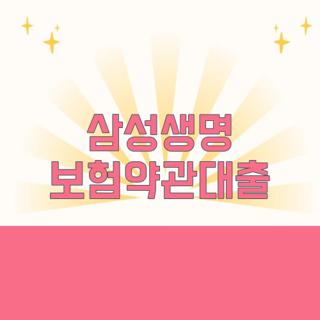 삼성생명 보험약관대출