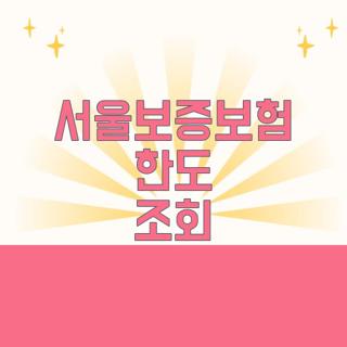 서울보증보험 한도 조회