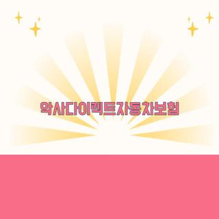 악사다이렉트자동차보험
