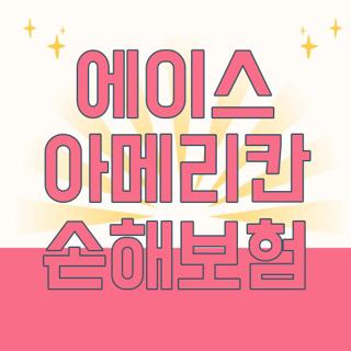에이스 아메리칸 손해보험
