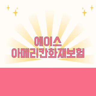 에이스 아메리칸화재보험