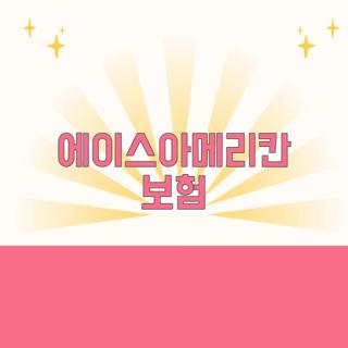 에이스아메리칸 보험