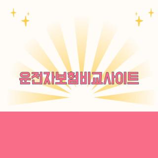 운전자보험비교사이트
