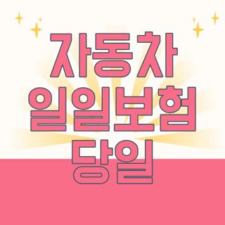 자동차 일일보험 당일