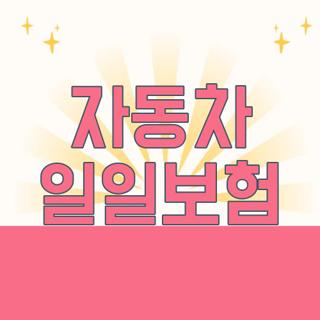 자동차 일일보험