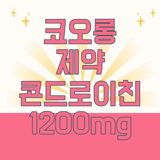 코오롱 제약 콘드로이친 1200mg
