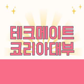 테크메이트 코리아대부