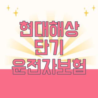 현대해상 단기 운전자보험