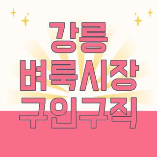 강릉 벼룩시장 구인구직