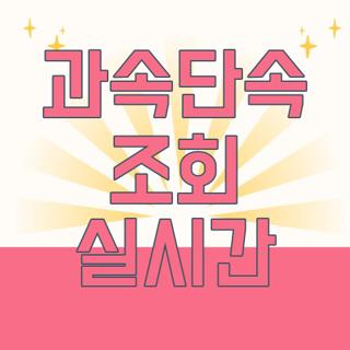 과속단속 조회 실시간