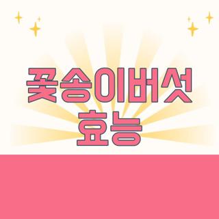 꽃송이버섯 효능