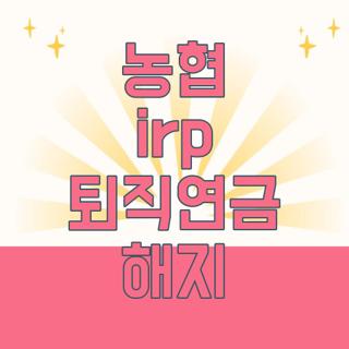농협 irp 퇴직연금 해지