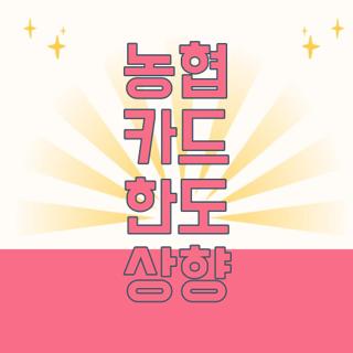 농협 카드 한도 상향