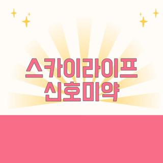 스카이라이프 신호미약