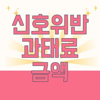 신호위반 과태료 금액