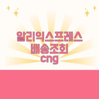 알리익스프레스 배송조회 cng