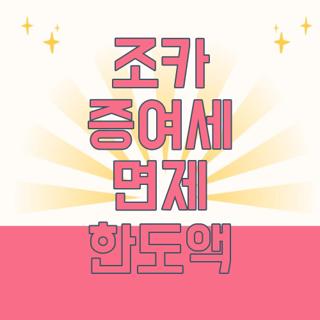 조카 증여세 면제 한도액
