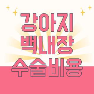 강아지 백내장 수술비용