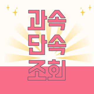과속 단속 조회