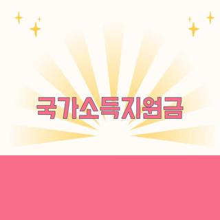 국가소득지원금