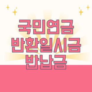 국민연금 반환일시금 반납금