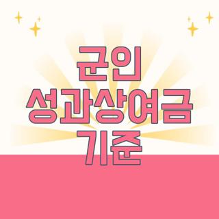군인 성과상여금 기준
