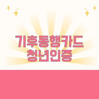 기후동행카드 청년인증