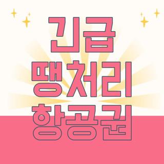 긴급 땡처리 항공권