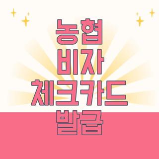 농협 비자 체크카드 발급