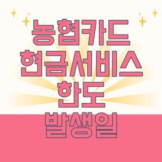 농협카드 현금서비스 한도 발생일