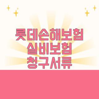 롯데손해보험 실비보험 청구서류