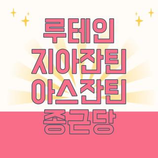 루테인 지아잔틴 아스잔틴 종근당