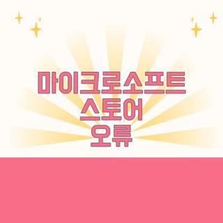 마이크로소프트 스토어 오류