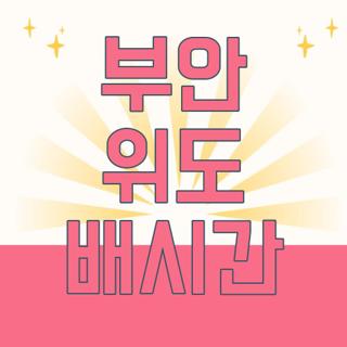 부안 위도 배시간