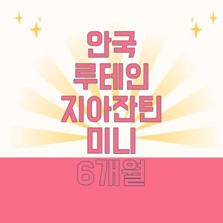 안국 루테인 지아잔틴 미니 6개월