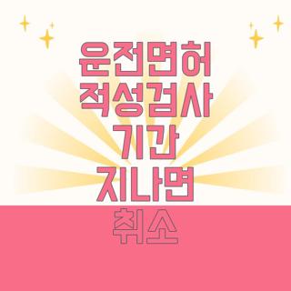 운전면허 적성검사 기간 지나면 취소