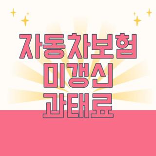 자동차보험 미갱신 과태료