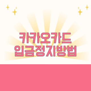 카카오카드 입금정지방법