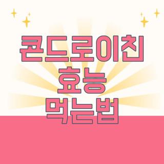 콘드로이친 효능 먹는법