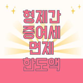 형제간 증여세 면제 한도액