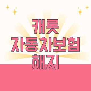캐롯 자동차보험 해지